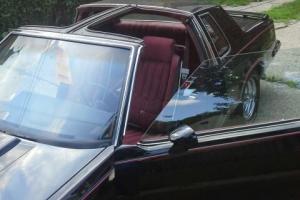 Oldsmobile : Cutlass Black/Red/Gray Photo