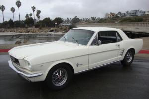Ford : Mustang White
