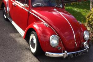  Beautiful 1965 VW Beetle - Stunning in Red - Ready for the Summer Photo