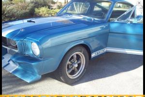 Ford : Mustang GT350 Tribute Photo