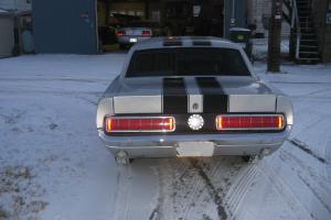 Ford : Mustang Pony Photo