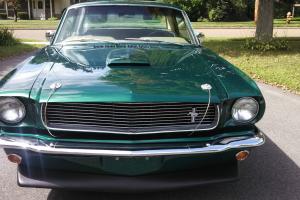 Ford : Mustang GT350 Photo