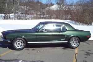 Ford : Mustang 1965 1966 1967 1968 1969 Photo