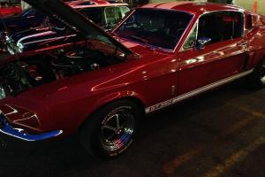 Ford : Mustang Shelby GT350 Clone Photo