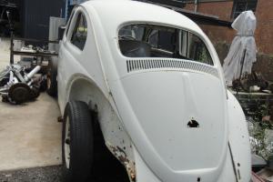 1965 VW Beetle in Helensburgh, NSW