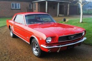 1966 Ford Mustang Notchback