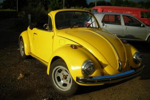 VOLKSWAGEN 1300 CABRIOLET 1971 PROFESIONALY RESTORED ONLY A YEAR Photo