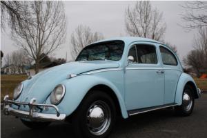 1963 VW BEETLE RESTORED HIGH QUALITY CAR! MUST SEE!! Photo