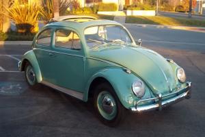 1962 vw beetle ragtop pan off restoration number 1 condition california car Photo