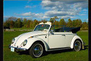 Be riding in this beautiful classic VW Beetle in time for spring!!! Photo