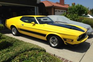 1973 Ford Mustang MACH 1 Photo