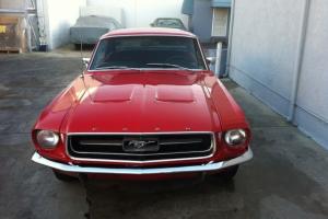 1967 Ford Mustang Red 289 engine Photo