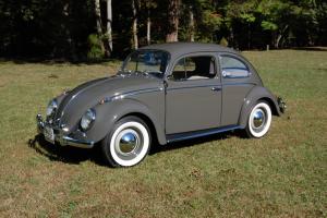 Award Winning 1963 VW Volkswagen Bug Beetle Fully Restored Number Matching