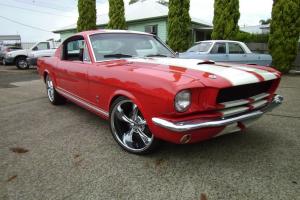 1966 Nustang Fastback Photo