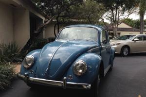 Classic 1966 Volkswagen beetle. Restored.
