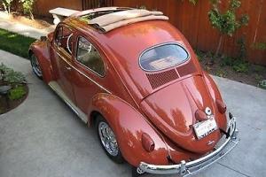 1956 VW Volkswagen - Coral Red original ragtop sunroof - Semaphores - New 2017cc Photo