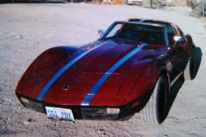 Corvette  with factory ordered 425 horse 454, removable T- tops, auto trans. Photo