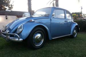 1966 VW Bug Photo