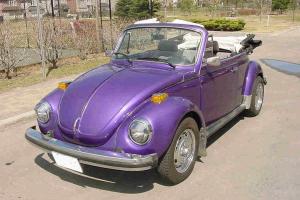 Volkswagen : Beetle - Classic Base Convertible 2-Door Photo