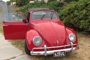 Gorgeous RED 1962 Volkswagen Beetle Convertible Beach Buggy in Quinns Rocks, WA Photo