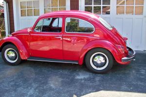 1968 Red Bug