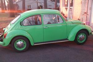 Volkswagen VW Beetle Bug
