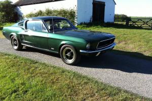 mustang 1967 fastback Photo