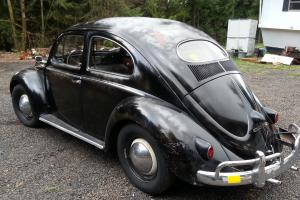 1957 VW Beetle Oval Window Photo