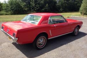 Ford Mustang 1965 Notchback in Candy Red with correct Cream interior Photo