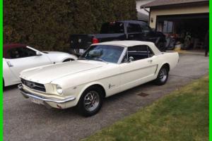 Ford : Mustang Convertible C Code Collector Plates Photo