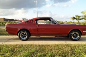 1965 Mustang Fastback Shelby GT350 Tribute