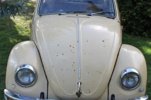 VW BEETLE - RARE SOUTH AFRICAN - PROJECT CAR - EARLY BUG? Photo