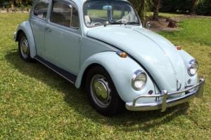 1967 Volkswagen Beetle //EXCELLENT CONDITION// DRIVER// N/R Photo