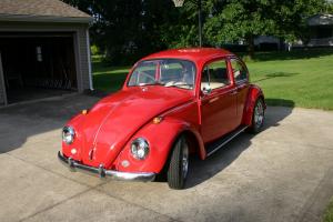 1967 Volkswagen VW Beetle Bug Photo