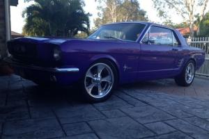 Ford Mustang Coupe 1966 Show Quality