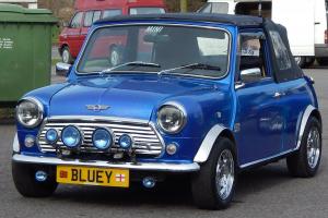 BLUEY Rover Mini and Trailer, Unique Something diiferent for the Summer......... Photo