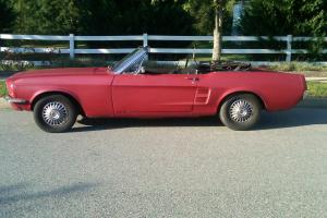 1967 Ford Mustang Convertible - Original Barn Find! Photo