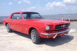 1965 mustang coupe fresh professional restoration Photo