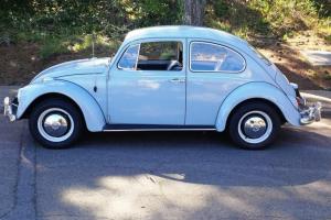 1967 Volkswagen Beetle Clean Original Photo