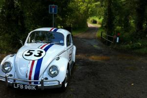VW Beetle "Herbie" Photo