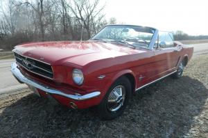 1965 Mustang Convertible V8 4 speed Rangoon Red 100% restored power top driver Photo