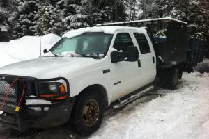 ford f-250 année 1999 Photo