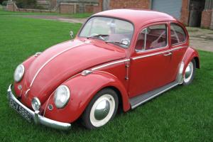 Volkswagen Beetle Classic 1965 one year only, classic Beetle Photo