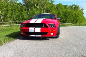Ford : Mustang Shelby GT500 Coupe 2-Door Photo