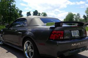 Ford : Mustang GT-Steeda Q400