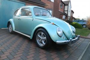  1964 volkswagen beetle  Photo