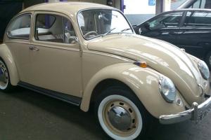 VW Beetle 1967 One Year Only Model Full Nut and Bolt Restore l@@ks amazing Photo