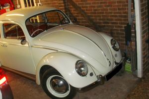 66 reg VW Beetle 1300 New MoT/Tax White with red interior very pretty bug Photo