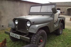 M38A1 Willys Jeep Photo