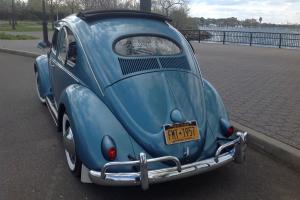Volkswagen beetle Photo